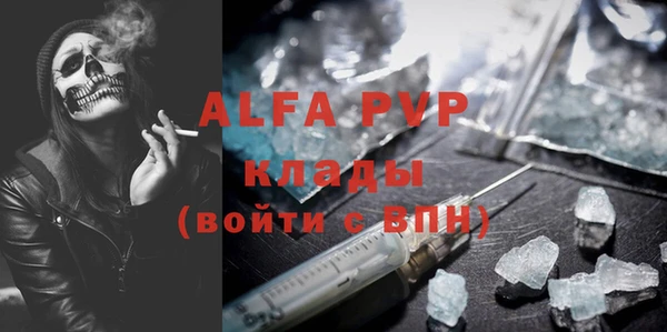 гашик Дмитровск