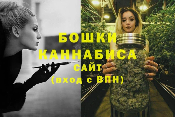 гашик Дмитровск