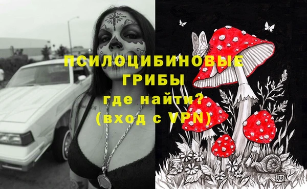 гашик Дмитровск