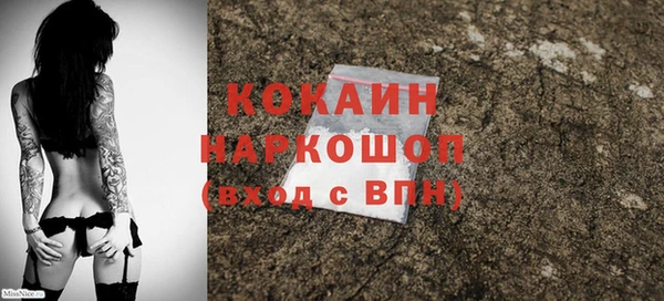 гашик Дмитровск